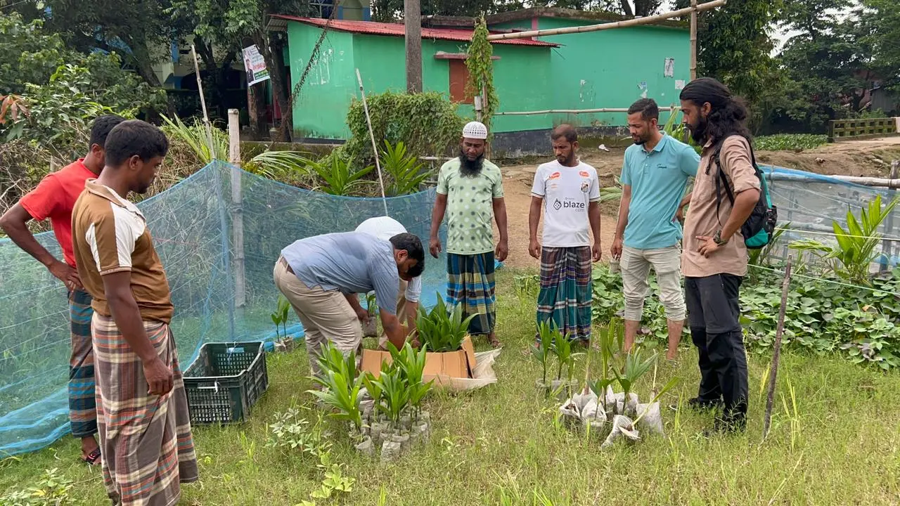 সুনামগঞ্জে ৫ হাজার গাছ লাগাবে বেঙ্গল পিস ফাউন্ডেশন