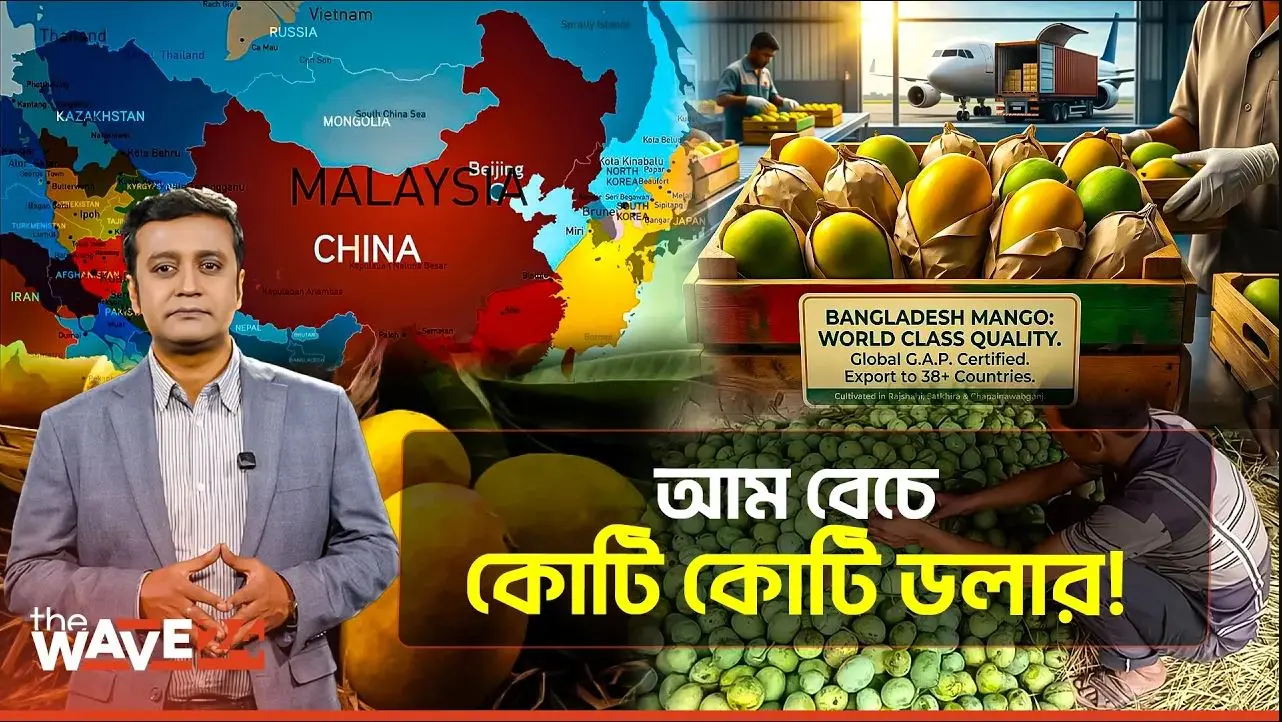 রপ্তানিতে বাংলাদেশের আমের বিশ্ব রেকর্ড! ৩৭ দেশ জয় করে এবার চীনে!